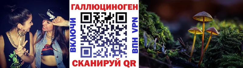Псилоцибиновые грибы MAGIC MUSHROOMS  kraken зеркало  Горбатов 